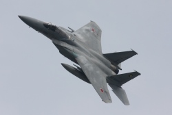F15