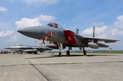F15