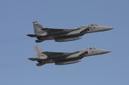 F15