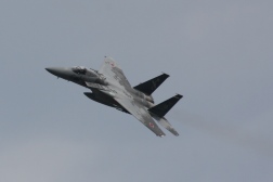 F15