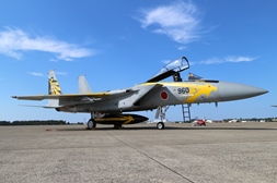 F15