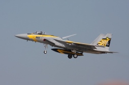 F15