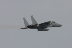 F15