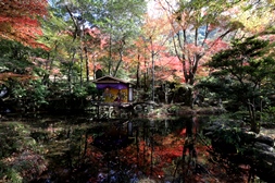 岐阜公園