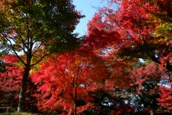 岐阜公園
