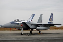 F15