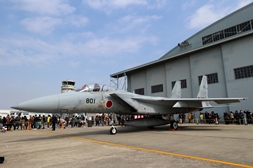 F15