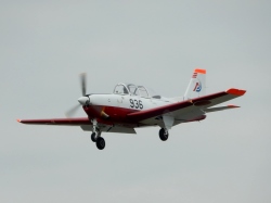 T7