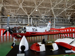T7