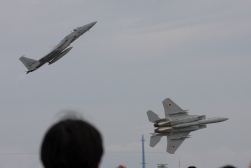 F15