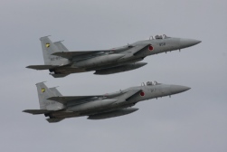 F15