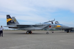F15