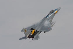 F15