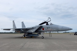 F15