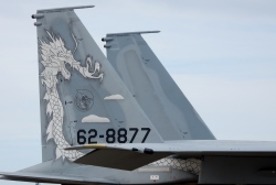 F15
