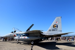 F15