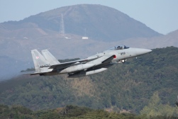 F15