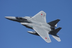 F15