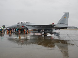 F15
