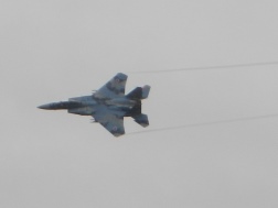 F15