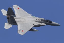 F15