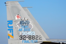 F15