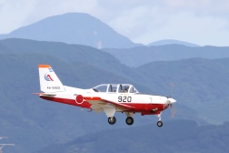 T7