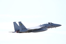 F15