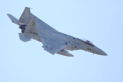 F15