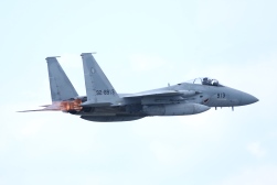 F15