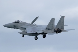 F15