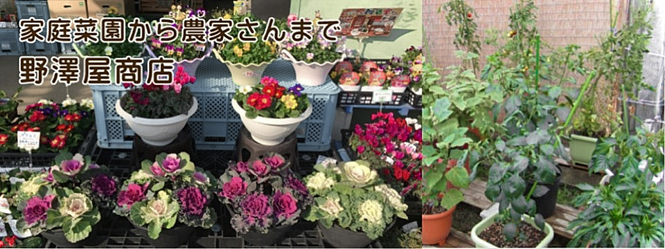 家庭菜園から農家さんまで！　野澤屋商店