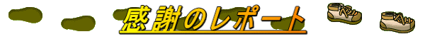 ӂ̃|[g 
