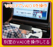 VAIO