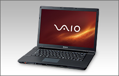 VAIO type BZ