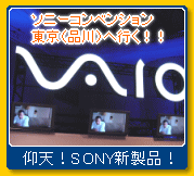 VAIO