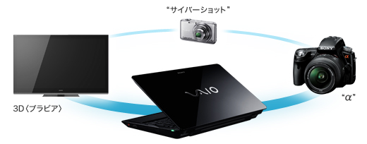 VAIO F