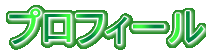 �v���t�B�[��