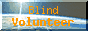 uBLIND@VOLUNTEERṽNoi[ł