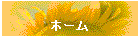 ホーム