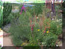 wpe1D.jpg (63093 oCg)