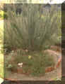 wpe14.jpg (43007 oCg)