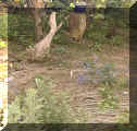 wpe8.jpg (36026 oCg)