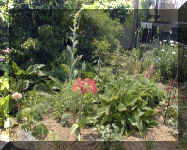 DSCF0003.JPG (120191 oCg)