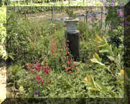 wpe20.jpg (79005 oCg)