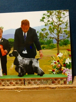 �h�b�O�V���[2012