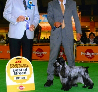 �h�b�O�V���[2012