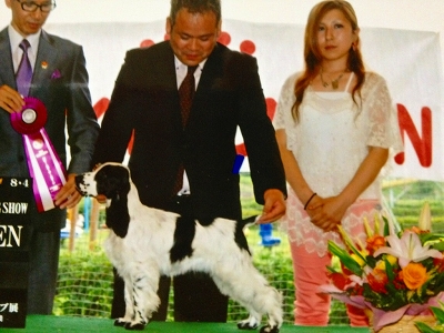 ROUGHWELLK�@JP�@MORRY