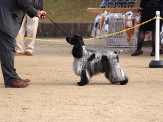 �q�n�t�f�g�v�d�k�k�j�@JP�@OLAF