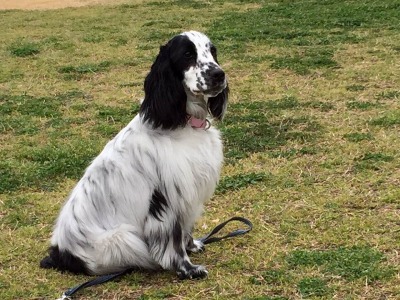 �}�[�J�X�N